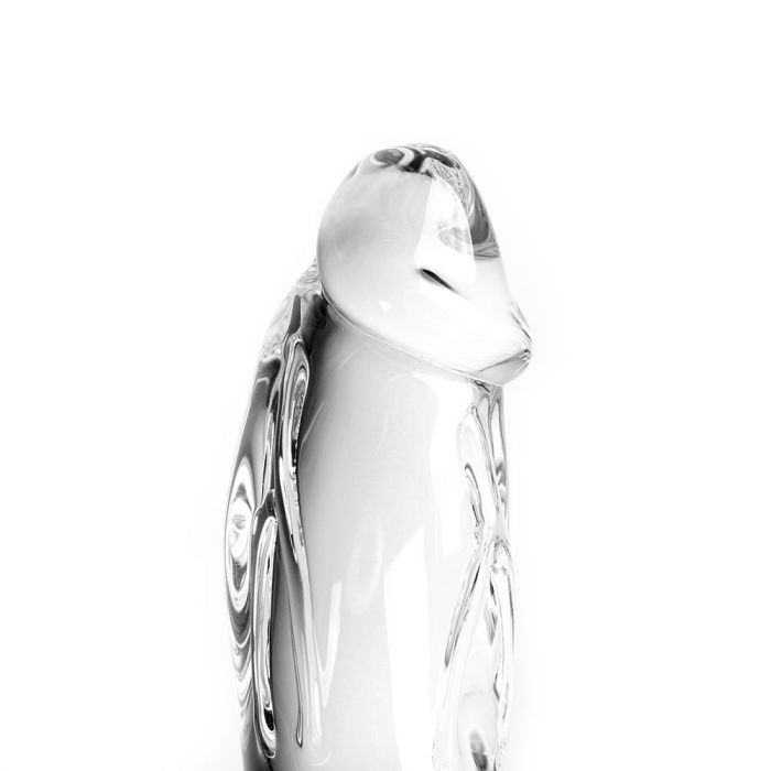 Glazen Dildo Transparant Penis Dik Kopen Bij Sextoyland