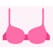 Categorie: T-shirt bh's