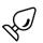 Categorie: Buttplugs