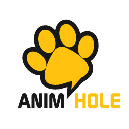 Animhole