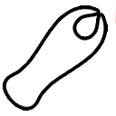 Penis vibrators