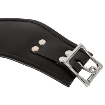 Stevige Halsband Met D-Ring