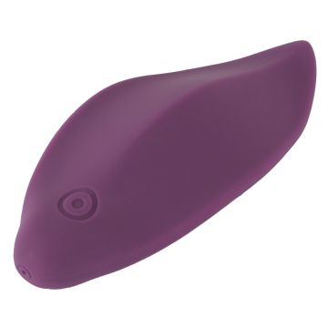 Panty Vibrator met Afstandsbediening - Paars