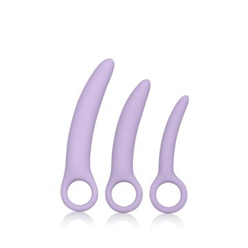 Set van 3 Paarse Dilators by Laura Berman