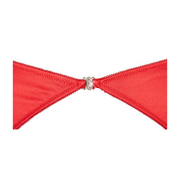 Driedelig BH Set met Jarretel in het Rood-22209623231-det-b.jpg