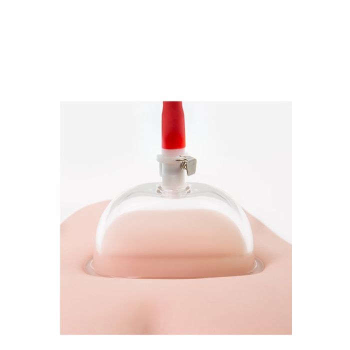 Vulva Pomp met Cilinder - Transparant-330919-5.jpg