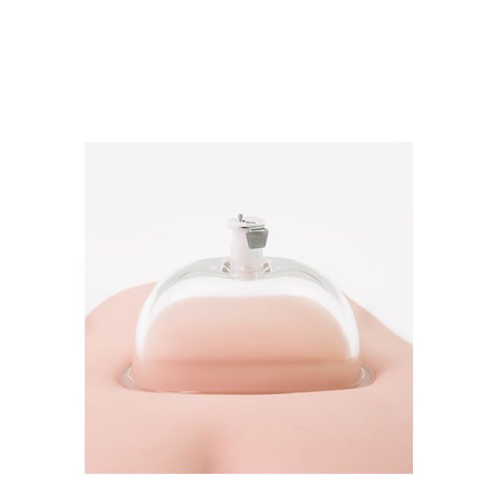 Vulva Pomp met Cilinder - Transparant-330919-6.jpg