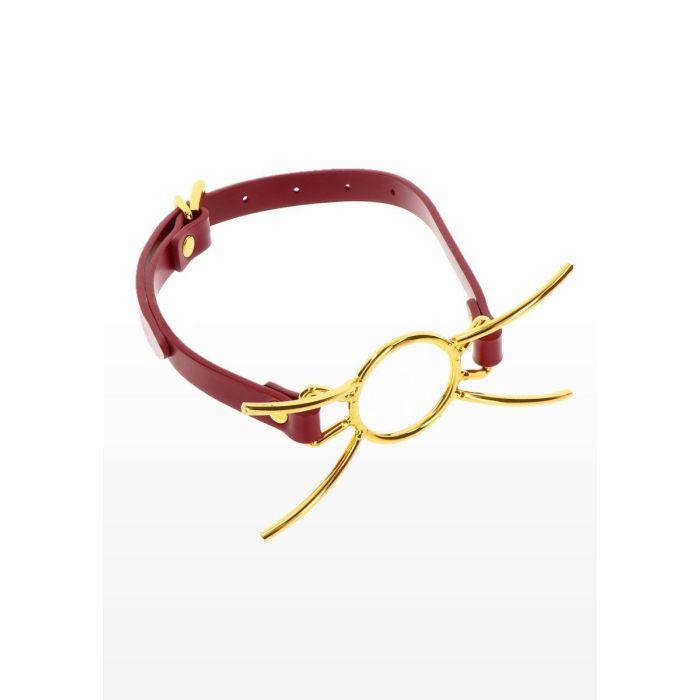 Open Mond Gag - Rood-open-mond-gag-rood-3.jpg