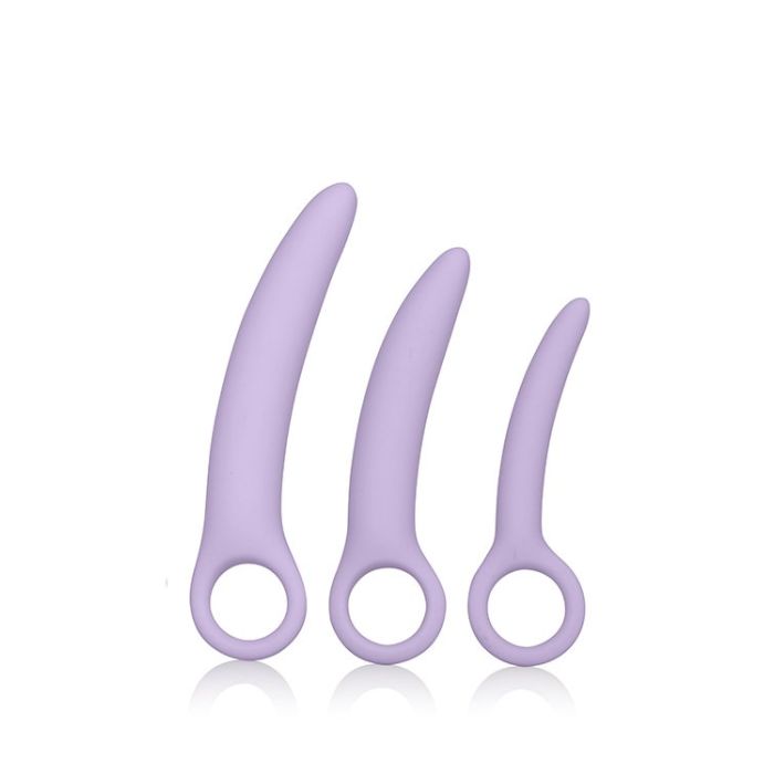 Set van 3 Paarse Dilators by Laura Berman-set-van-3-paarse-dilators-by-laura-berman.jpg