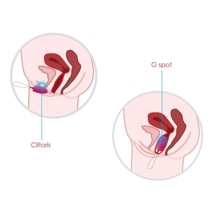Vibrerend Eitje op Afstandsbediening Elva - Roze-vibrerend-eitje-op-afstandsbediening-elva-roze-vb.jpg