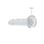 Dildo Suction Cup - Transparent-dildo-suction-cup-transparent-4.jpg