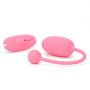 Kegel Coach Smart Exerciser-kegel-coach-smart-exerciser-los.jpg