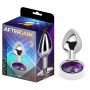 Buttplug Amethist met juweel Paars S-purple-amethyst-butt-plug-with-jewel-size-s-aluminium.jpg