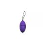 Remote Control Egg G2 - Paars-remote-control-egg-g2-paars-ei.jpg