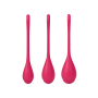 Satisfyer Yoni Power - Roze-satisfyer-yoni-power-roze-ak.jpg