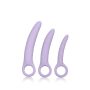 Set van 3 Paarse Dilators by Laura Berman-set-van-3-paarse-dilators-by-laura-berman.jpg