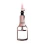Tepel en Clitoris Zuigers Large - Rosé Goud-tepel-en-clitoris-zuigers-rose-goud-pomp.jpg