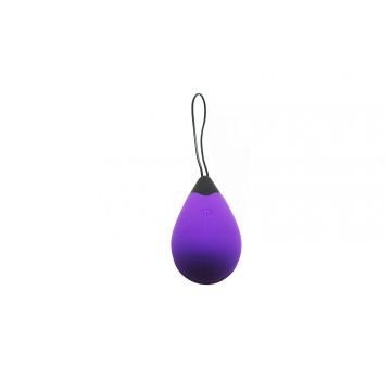 Remote Control Egg G1 Oplaadbaar - Paars-remote-control-egg-g1-oplaadbaar-paars.jpg