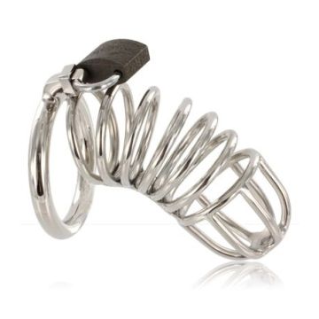 Kuisheidskooi Spiraal - RVS-kuisheidskooi-spiraal-rvs.jpg