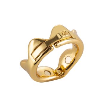 Sevanda Ring of Kings Glans Ring - maat L-sevanda-ring-of-kings-glans-ring-maat-l.jpg