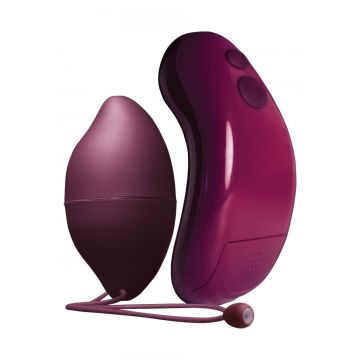 Vibrerend Ei met Afstandsbbediening - Paars