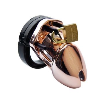 Bronzen Kuisheidskooi met Slot-bronzen-kuisheidskooi-met-slot.jpg