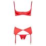 Driedelig BH Set met Jarretel in het Rood-22209623231-hollow-nor-b.jpg