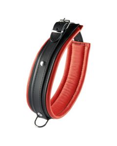 Zwart met rode halsband