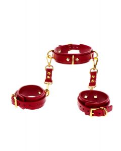 D-Ring Halsband met handboeien - Taboom