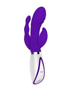 Disco Vibrator met Clitoris-, Anus- en G-spotstimulatie staand