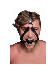 Hoofd Harnas Met Ballgag
