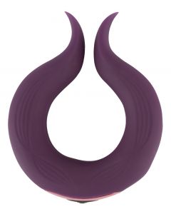 Koppels Ring - Paars voorkant