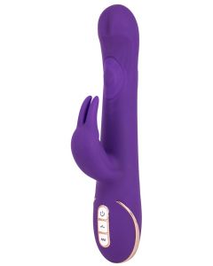 Rabbit Vibrator Quiver - Paars