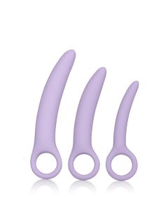 Set van 3 Paarse Dilators by Laura Berman