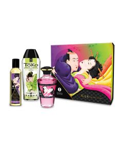 Shunga - Fruity Kisses Gift Set