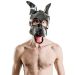 Hondenmasker Fetch Mister B Hondenmasker Fetch Mister B