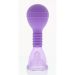 Clitoris Pomp - Paars