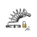 Asylum Locking Kuisheidskooi met slot (M/L)