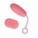 Vibrerend Eitje met afstandsbediening - Roze Vibrerend Eitje met afstandsbediening - Roze