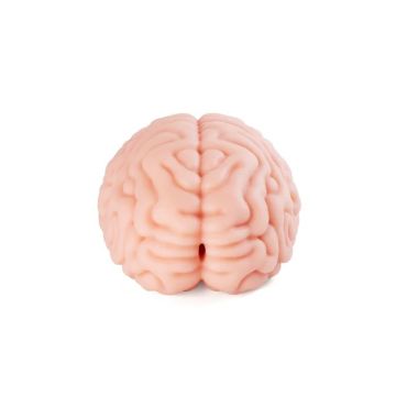 XTC Japan Masturbator - Brain Hacker DX