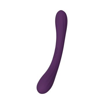 Dubbele Vibrator LELO Boomerang - Paars