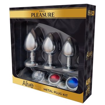 Metalen Buttplug Kit