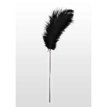 BDSM Veertje Tickler