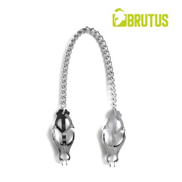 Tepelklemmen Japanese Clover Brutus