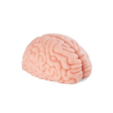 XTC Japan Masturbator - Brain Hacker DX