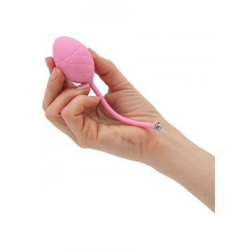 Roze Plezier Balletjes - Frisky