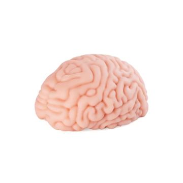 XTC Japan Masturbator - Brain Hacker DX
