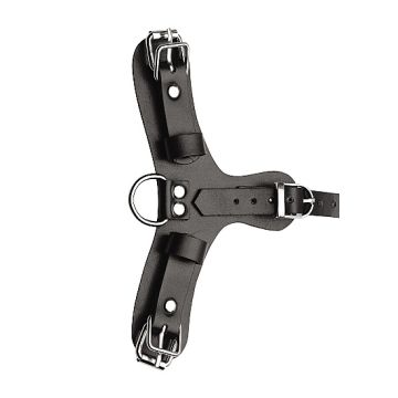 Puppy Play masker met ballgag