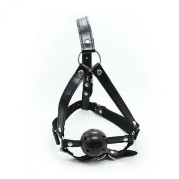 Hoofd Harnas met Ballgag -hoofd-harnas-met-ballgag.jpg