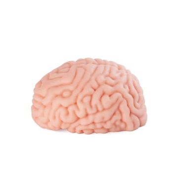 XTC Japan Masturbator - Brain Hacker DX